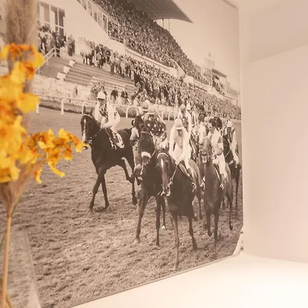Spacious Penthouse For 8 People In The Centre Oostende