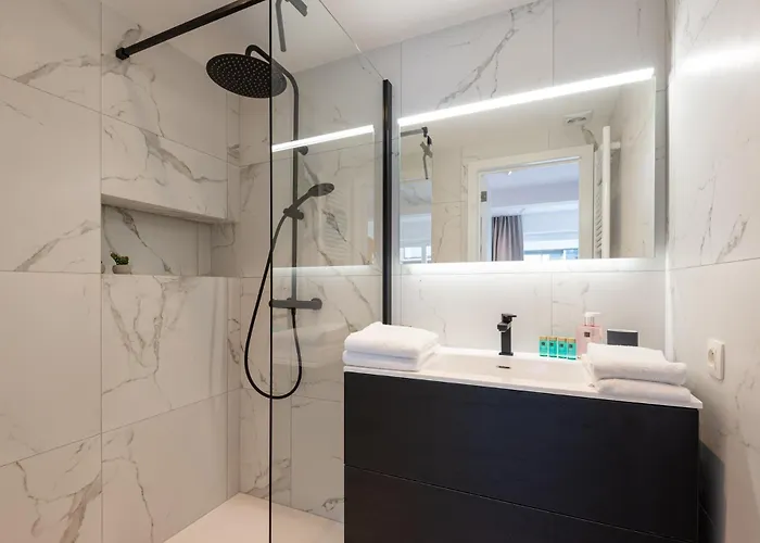 公寓 Spacious Penthouse For 8 People In The Centre 奥斯滕德