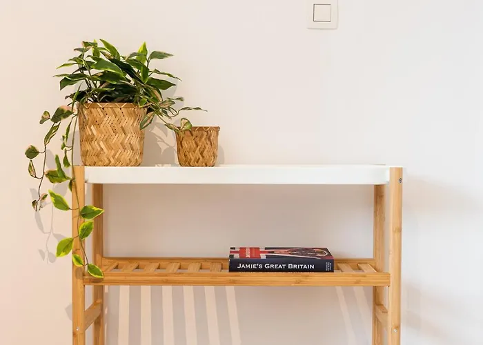 Spacious Penthouse For 8 People In The Centre Oostende