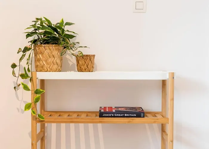 Spacious Penthouse For 8 People In The Centre 公寓